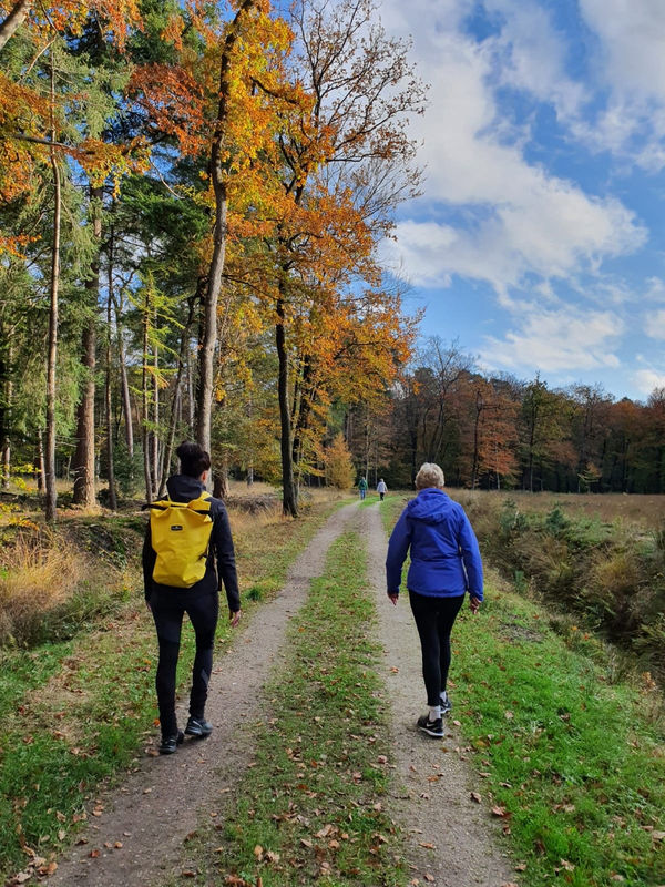 ONTDEK: HOREYO | Reset Mijn Lijf