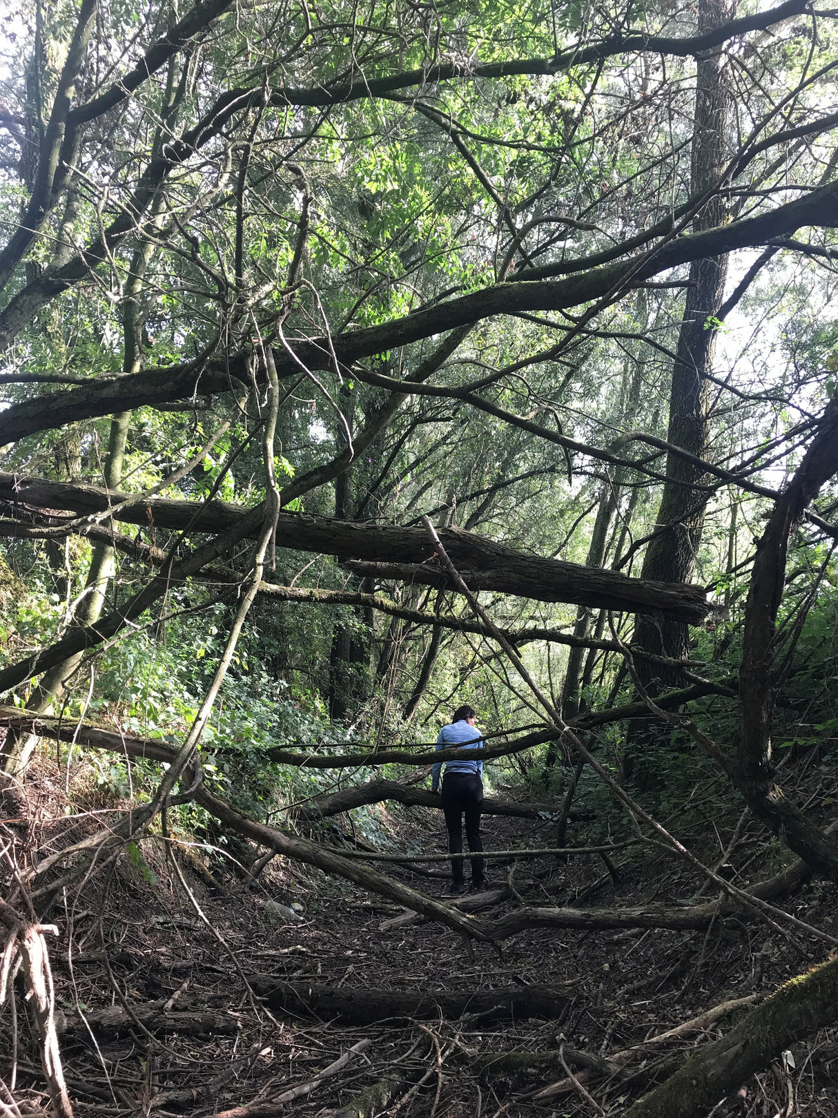 ONTDEK: HOREYO | Reset Mijn Lijf