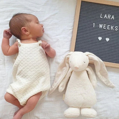 ONTDEK: Zwangerschap & Baby