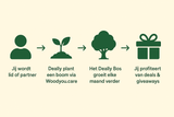 Exclusieve aanbieding: Plant 12 bomen, betaal er maar 10