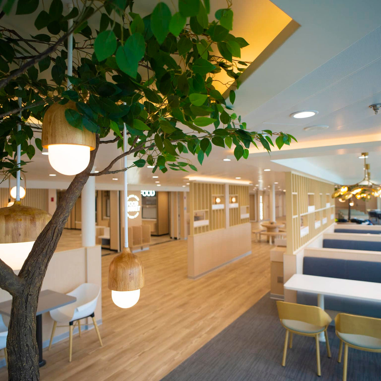 ONTDEK: P&O Ferries BENELUX