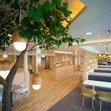 ONTDEK: P&O Ferries BENELUX