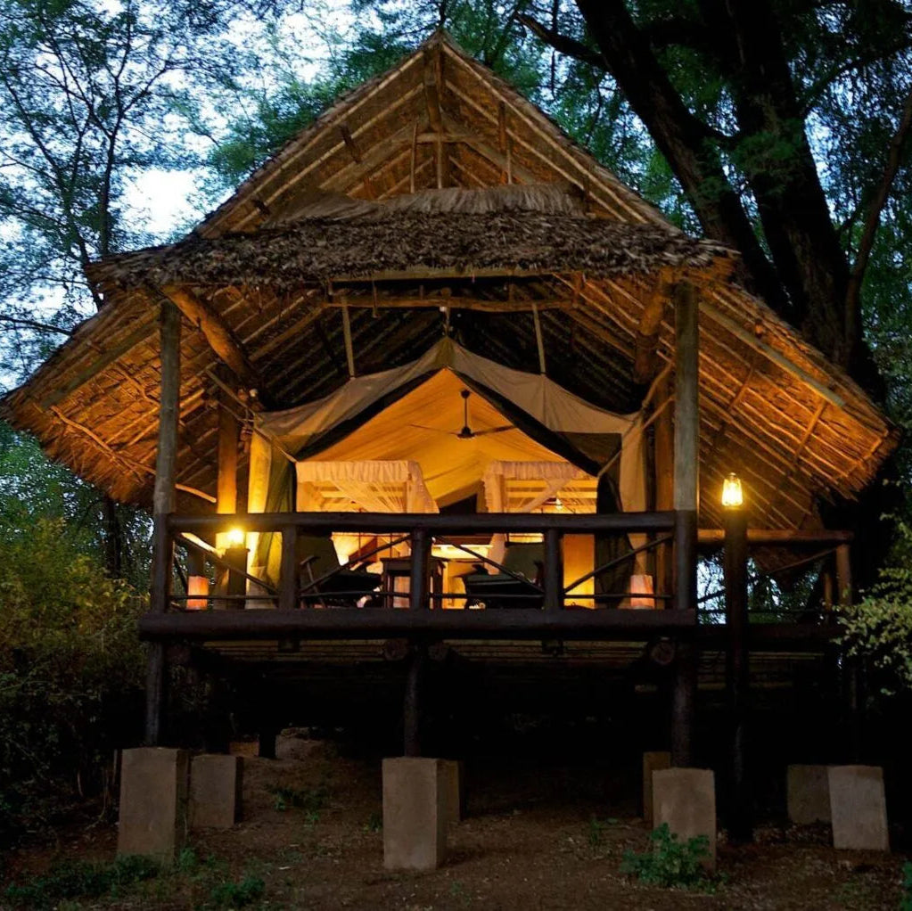 ONTDEK: Afrika Safari NL