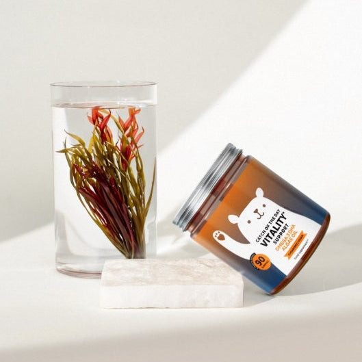 ONTDEK: Bears with Benefits - Voedingssupplementen