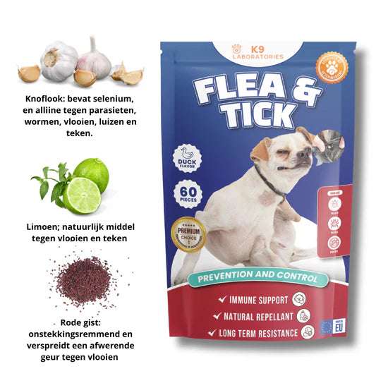 ONTDEK: Hondensupplement - alles voor de gezondheid en welzijn van je hond