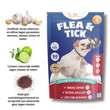 ONTDEK: Hondensupplement - alles voor de gezondheid en welzijn van je hond