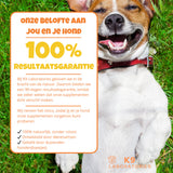 ONTDEK: Hondensupplement - alles voor de gezondheid en welzijn van je hond