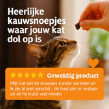 Ontdek: Kattensupplement