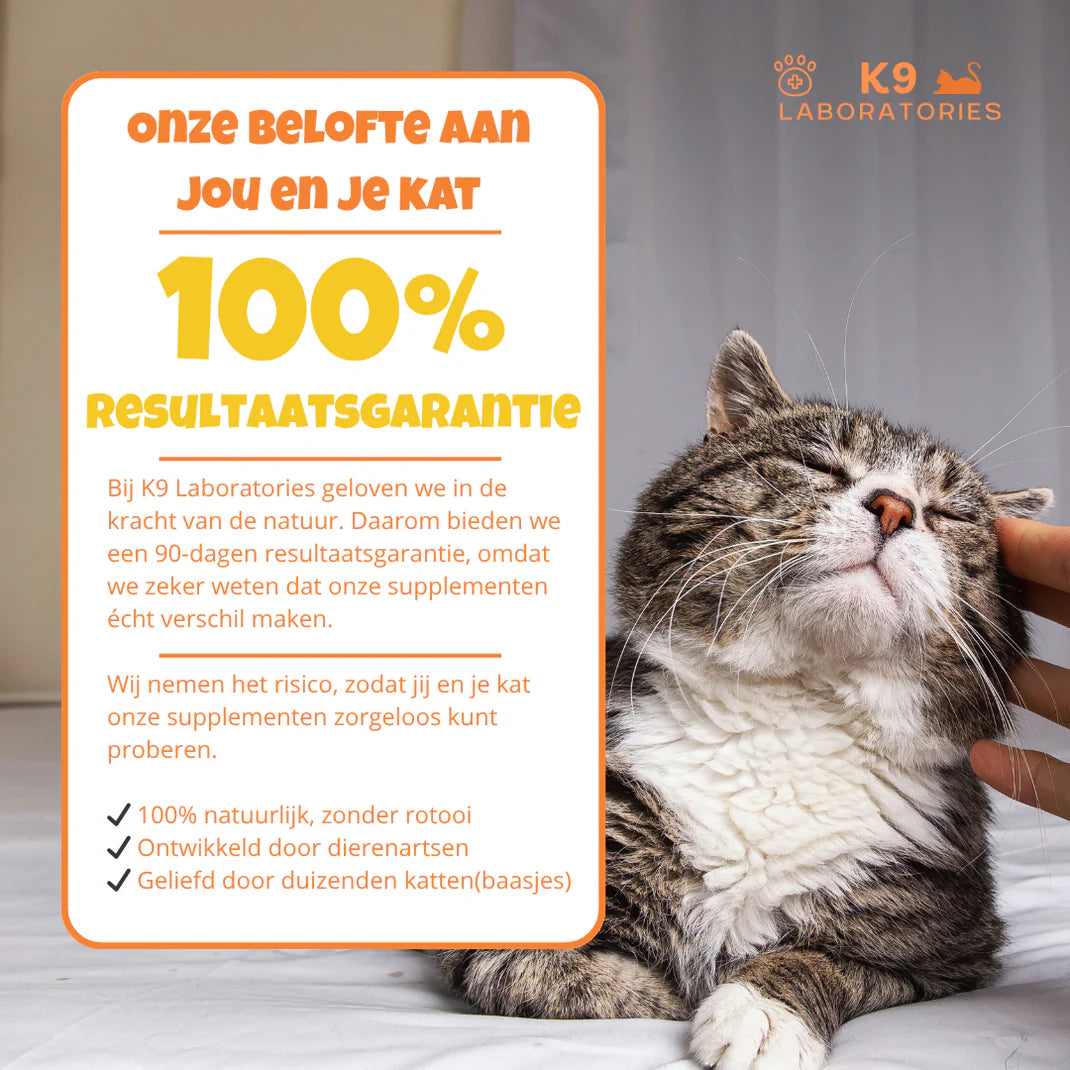 Ontdek: Kattensupplement