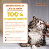 Ontdek: Kattensupplement
