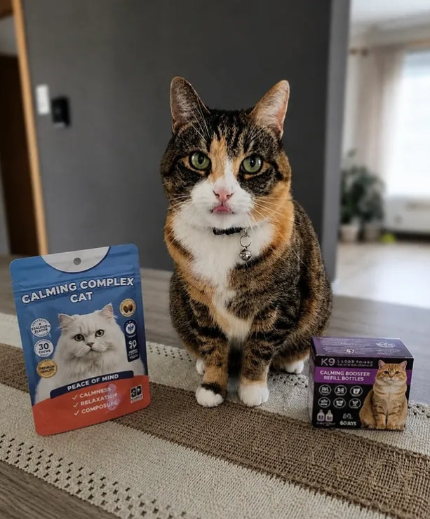 Ontdek: Kattensupplement