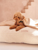 Ontdek: Le Olive - Stijlvolle homewear en accessoires voor het hele gezin