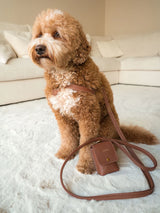 Ontdek: Le Olive - Stijlvolle homewear en accessoires voor het hele gezin
