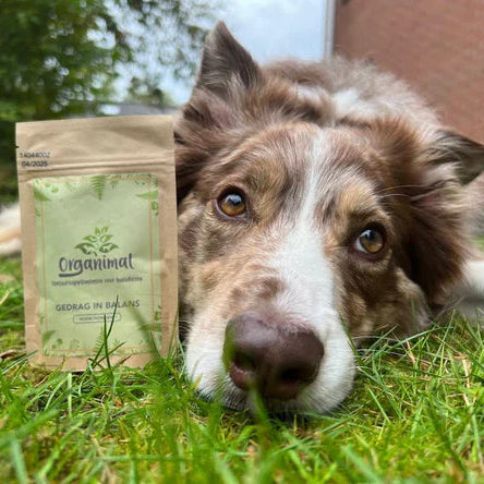 DEAL: 15% korting + €10 korting op huidparasietenpakket bij Lilo's Nature - Dierenwinkel