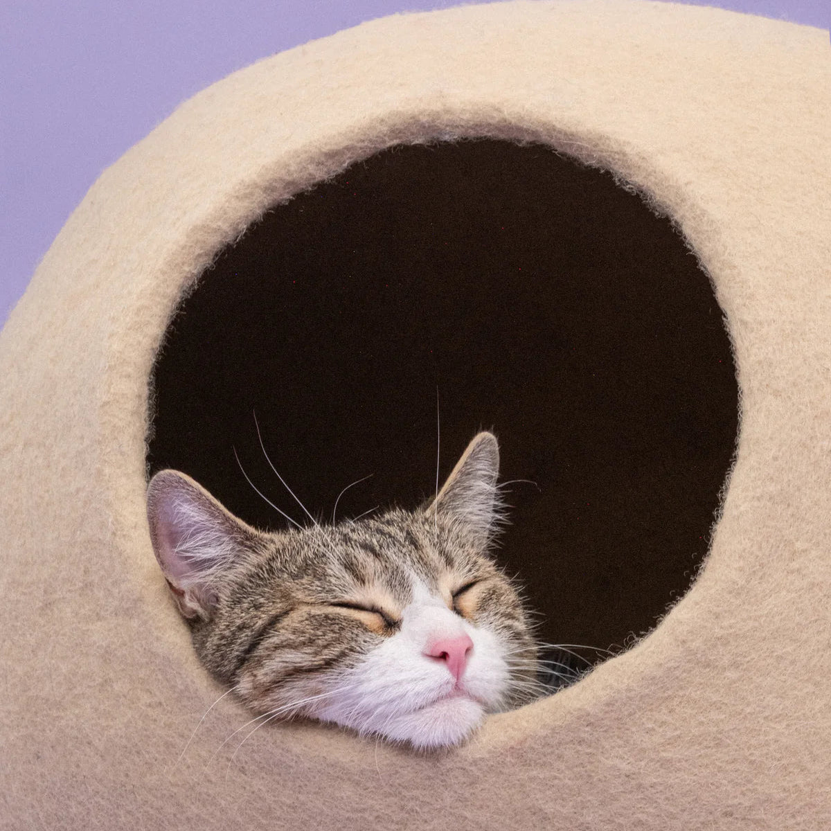 DEAL: 15% korting + €10 korting op huidparasietenpakket bij Lilo's Nature - Dierenwinkel