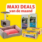ONTDEK: Maxi Zoo - Alles voor jouw huisdier