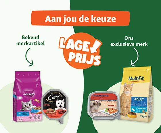 ONTDEK: Maxi Zoo - Alles voor jouw huisdier