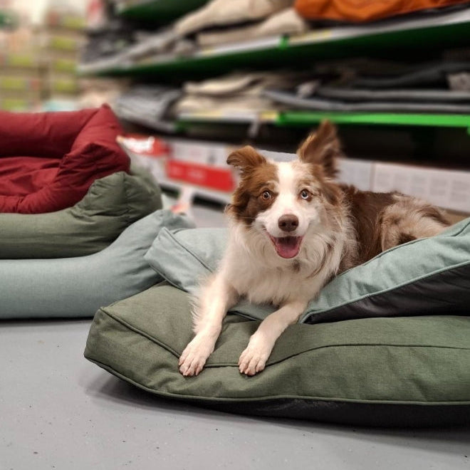 ONTDEK: Maxi Zoo - Alles voor jouw huisdier