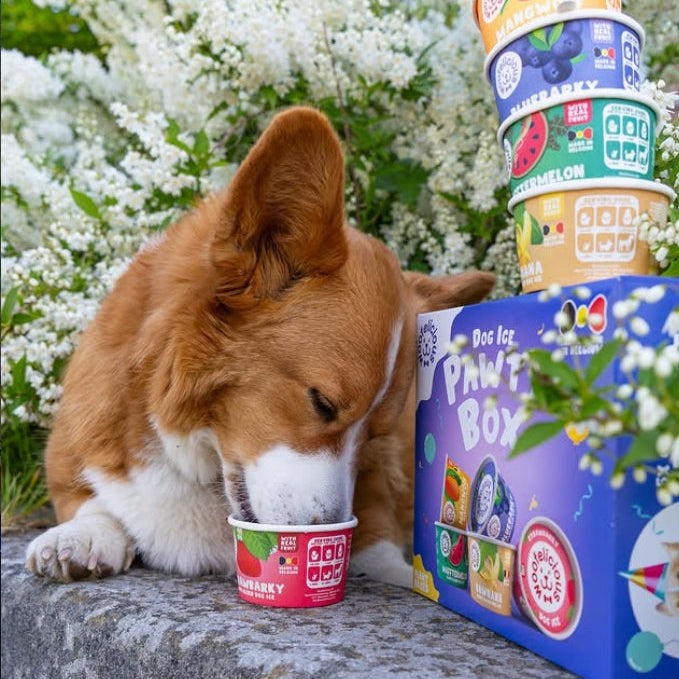 ONTDEK: Maxi Zoo - Alles voor jouw huisdier