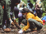 Exclusieve aanbieding: Plant 12 bomen, betaal er maar 10