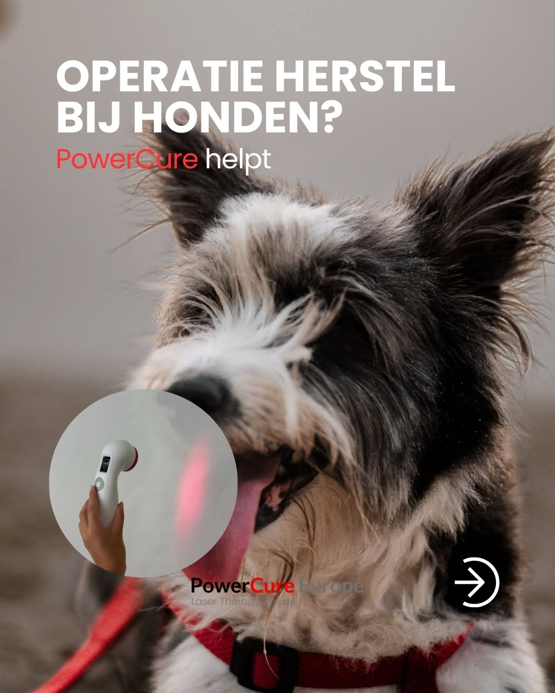 Ontdek: PowerCure - DE oplossing voor pijnverlichting en herstel