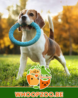 DEAL: 10% korting bij Whoopzoo - de online plaats voor puur dierengeluk!