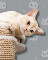 DEAL: 10% korting bij Whoopzoo - de online plaats voor puur dierengeluk!