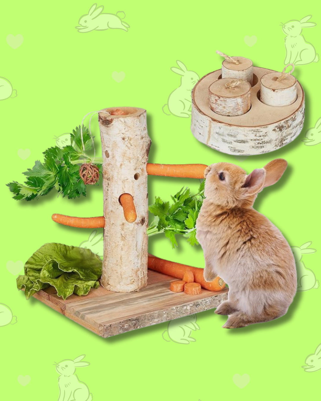 DEAL: 10% korting bij Whoopzoo - de online plaats voor puur dierengeluk!