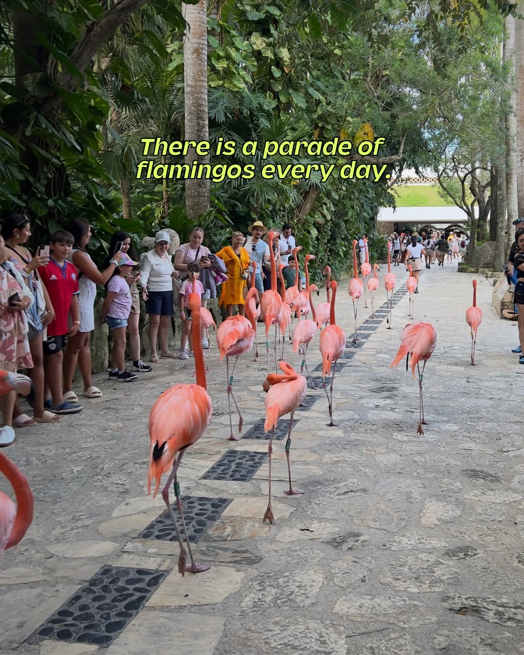 Ontdek: Xcaret Global - Unieke vakanties in Mexico