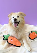 ONTDEK: Zooplus - Alles voor je huisdier