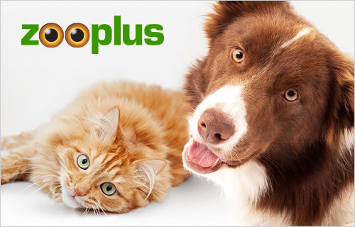 ONTDEK: Zooplus - Alles voor je huisdier